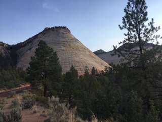 The Goddess Caffeinea is good to us all – Dobra Tea in Portland,&nbsp;Maine