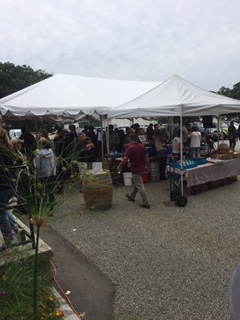 Happy Birthday, Tributary!